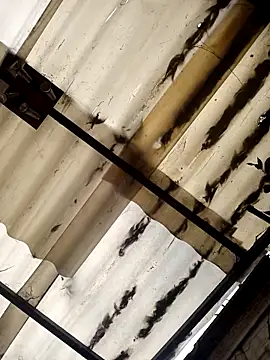 weedmanhot28 online show from November 2, 12:51 pm