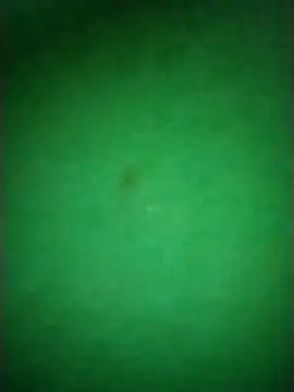 Zane Natha online show from November 10, 12:53 am