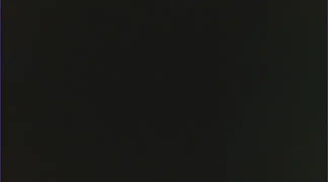 Geisha Seniers online show from February 15, 2:22 pm