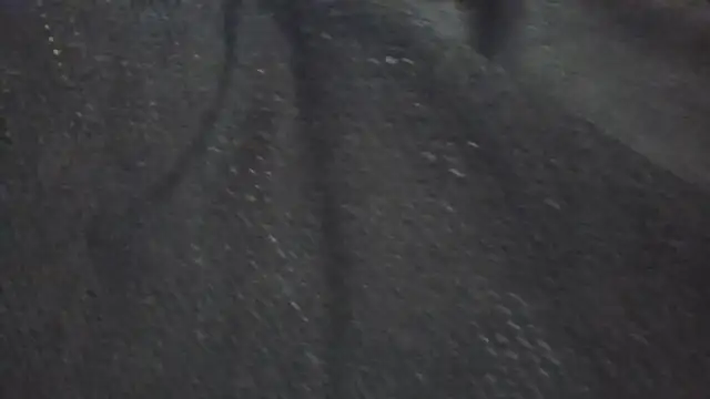 Leonul online show from March 24, 5:40 pm