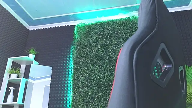 Snapshot of erikabrian chatting on December 29, 9:17 am erikabrian online show from December 29, 9:17 am