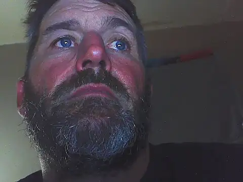 pipeload1275 online show from November 1, 8:05 am