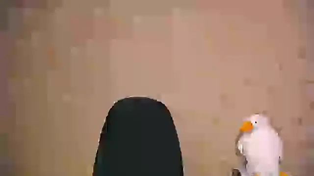  your fantasy girl online show from February 21, 1:00 pm