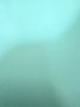 Snapshot of ZTahya chatting on December 14, 3:45 am ZTahya online show from December 14, 3:45 am