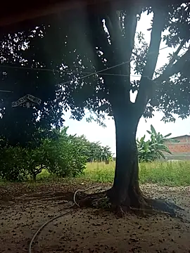 natally ross21 online show from February 9, 1:26 pm