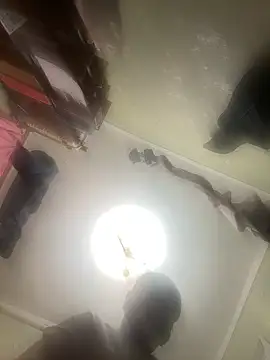 Ariel Ari online show from February 25, 5:15 pm