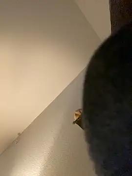 Snapshot of goldbuni chatting on December 30, 1:25 pm goldbuni online show from December 30, 1:25 pm