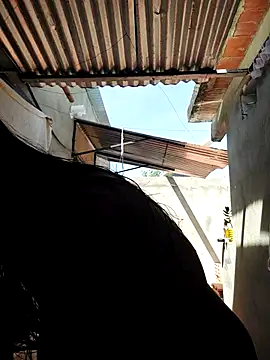 room 24funn online show from October 9, 2:59 pm