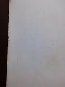 AmnionicDemeanor online show from November 2, 11:56 am