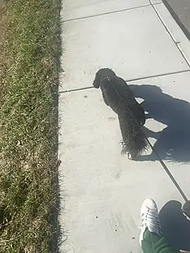 Esauhot online show from February 24, 8:25 pm