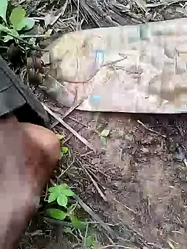 RainedNewyear online show from December 5, 11:16 am