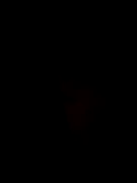 Ner0924 N online show from December 2, 4:31 pm