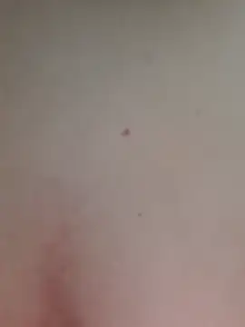 AmandaS2k online show from June 8, 4:29 pm