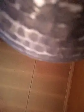 Snapshot of SashaahXXX chatting on February 12, 3:40 pm SashaahXXX online show from February 12, 3:40 pm