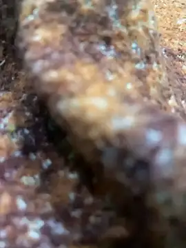 Snapshot of king_cum_ chatting on February 13, 10:44 am king cum online show from February 13, 10:44 am