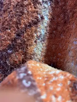 Snapshot of king_cum_ chatting on November 8, 1:17 am king cum online show from November 8, 1:17 am