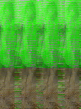 HimiJim online show from November 10, 11:42 am