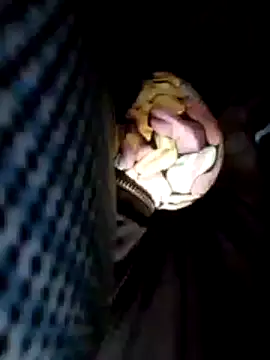 Snapshot of Policeman20742 chatting on February 25, 6:09 pm Policeman20742 online show from February 25, 6:09 pm