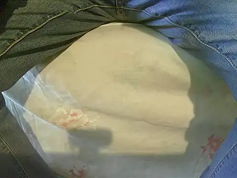 Snapshot of Tiger202441 chatting on December 17, 11:17 am Tiger202441 online show from December 17, 11:17 am