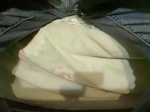 Snapshot of Tiger202441 chatting on December 23, 8:47 pm Tiger202441 online show from December 23, 8:47 pm