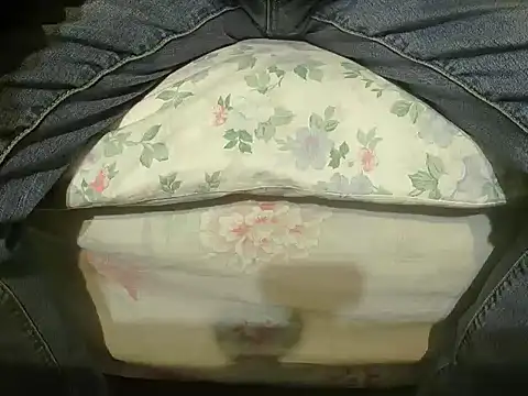 Snapshot of Tiger202441 chatting on December 27, 10:37 pm Tiger202441 online show from December 27, 10:37 pm