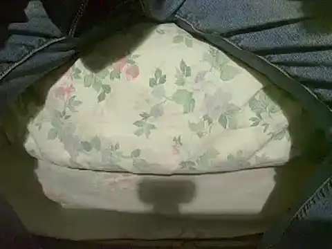 Snapshot of Tiger202441 chatting on January 12, 4:08 pm Tiger202441 online show from January 12, 4:08 pm