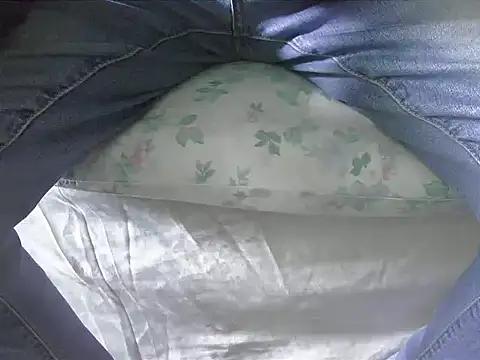 Snapshot of Tiger202441 chatting on February 2, 12:46 pm Tiger202441 online show from February 2, 12:46 pm