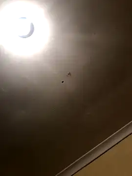 SmallGoodNut online show from November 15, 4:10 am