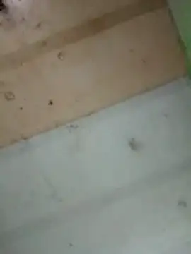 Alonsomadeira online show from February 10, 11:53 pm