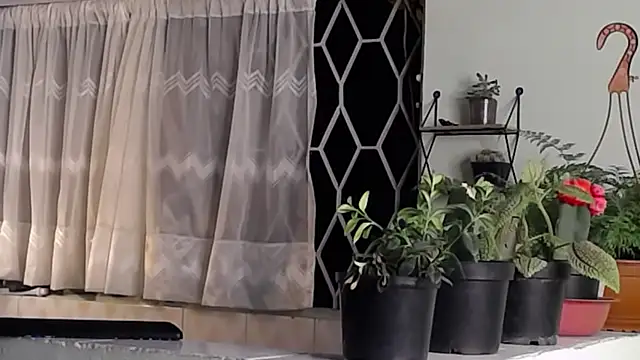 peyton golden1 online show from January 16, 6:35 am