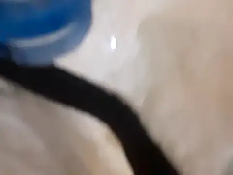 Snapshot of pedrodavid_ chatting on March 14, 12:10 am pedrodavid  online show from March 14, 12:10 am