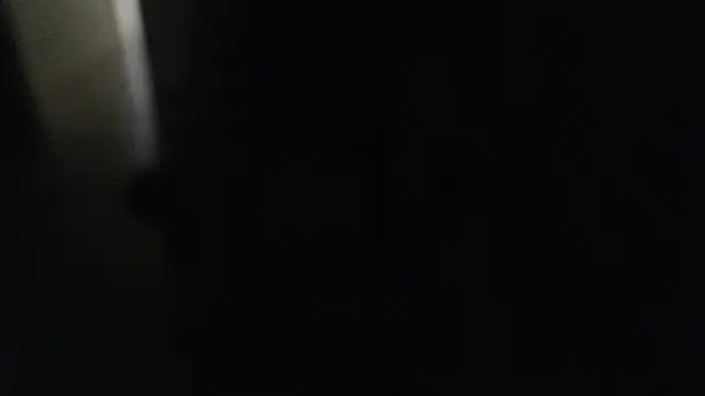 Snapshot of joeydee1 chatting on December 7, 7:21 pm joeydee1 online show from December 7, 7:21 pm