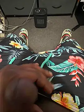 Cameltoekilla online show from April 13, 1:22 am