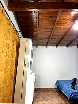 Zaratattoox online show from December 1, 9:53 pm