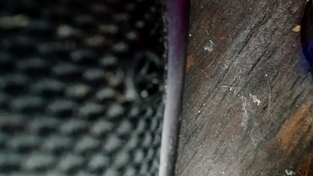 Gigadickman online show from December 2, 8:33 pm