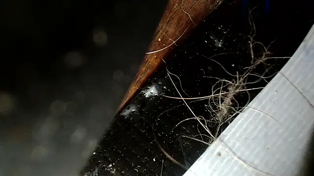 Gigadickman online show from December 3, 2:47 am