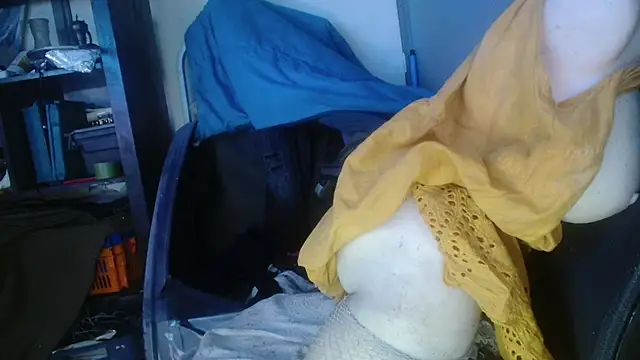 Gigadickman online show from January 29, 2:19 am