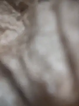 VL25DN26 online show from March 9, 1:59 pm