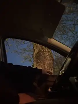 ilmarchino90 online show from April 7, 6:30 pm