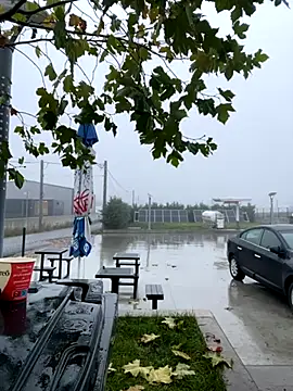 Snapshot of baramadalin chatting on November 21, 5:28 am baramadalin online show from November 21, 5:28 am