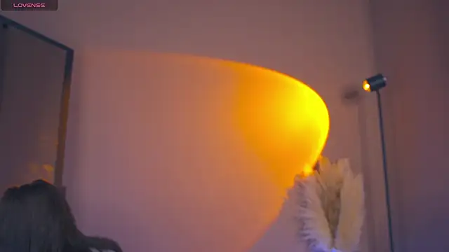 Snapshot of FairyFlutter chatting on December 20, 3:21 pm FairyFlutter online show from December 20, 3:21 pm