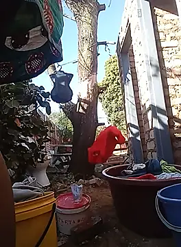 amarrabrown2024 online show from September 19, 6:04 am