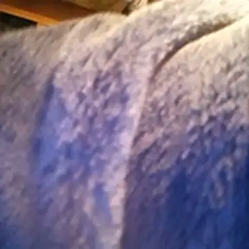 amarrabrown2024 online show from October 15, 6:46 am