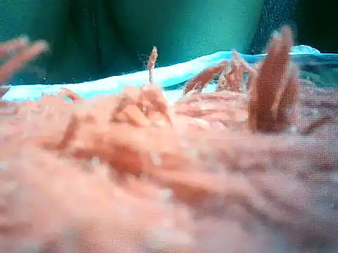 Snapshot of mumbi91 chatting on January 10, 10:57 pm mumbi91 online show from January 10, 10:57 pm