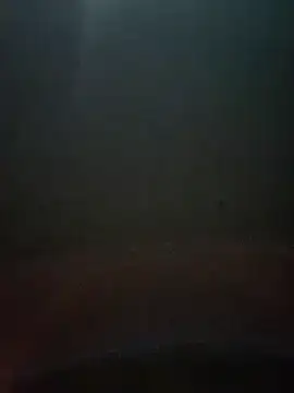 cumshotboy01 online show from December 16, 3:54 pm