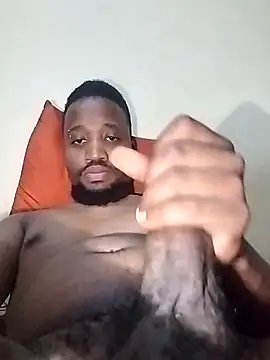 Snapshot of BaseDick chatting on November 12, 8:41 pm BaseDick online show from November 12, 8:41 pm