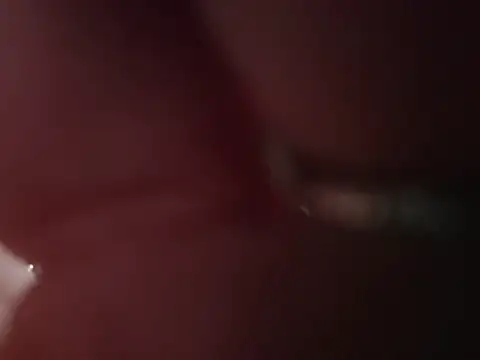 ILUV2TUCHMYKITTY online show from February 26, 2:49 pm