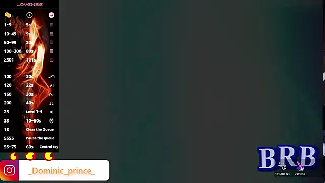 DominicPrince online show from November 13, 7:35 pm