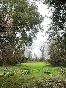 Snapshot of Alicia_Hot1 chatting on February 10, 2:05 pm Alicia Hot1 online show from February 10, 2:05 pm