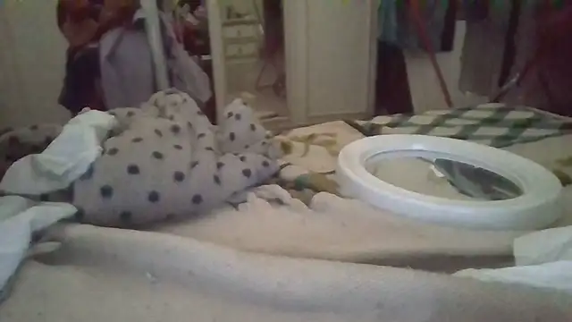 Snapshot of biuv chatting on November 6, 11:11 am biuv online show from November 6, 11:11 am